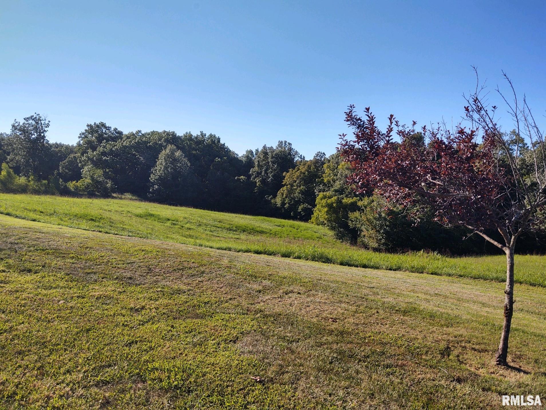 1480 Hound Dog Ridge Road Vienna, IL 62995 - Photo 25 of 31 Gallery Image 25