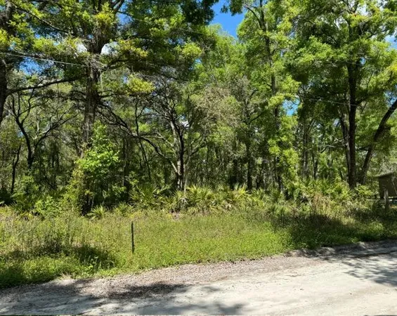 $19,900 | Tbd Northeast 472nd Avenue, Old Town, FL 32680
