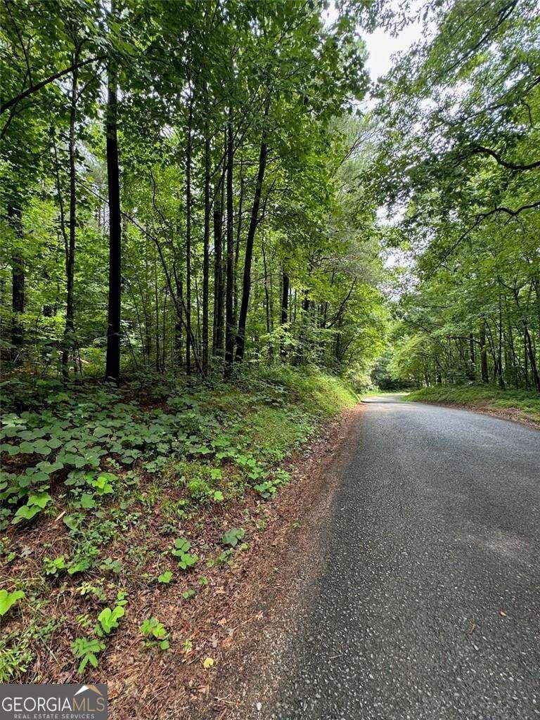 1 Wildlife Ridge Road Jasper, GA 30175 - Photo 1 of 1 Gallery Image 1