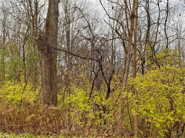 $69,900 | 0 Merritt Place, New Hartford, NY 13413