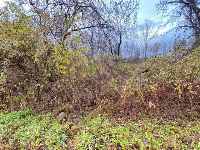 $69,900 | 0 Merritt Place, New Hartford, NY 13413