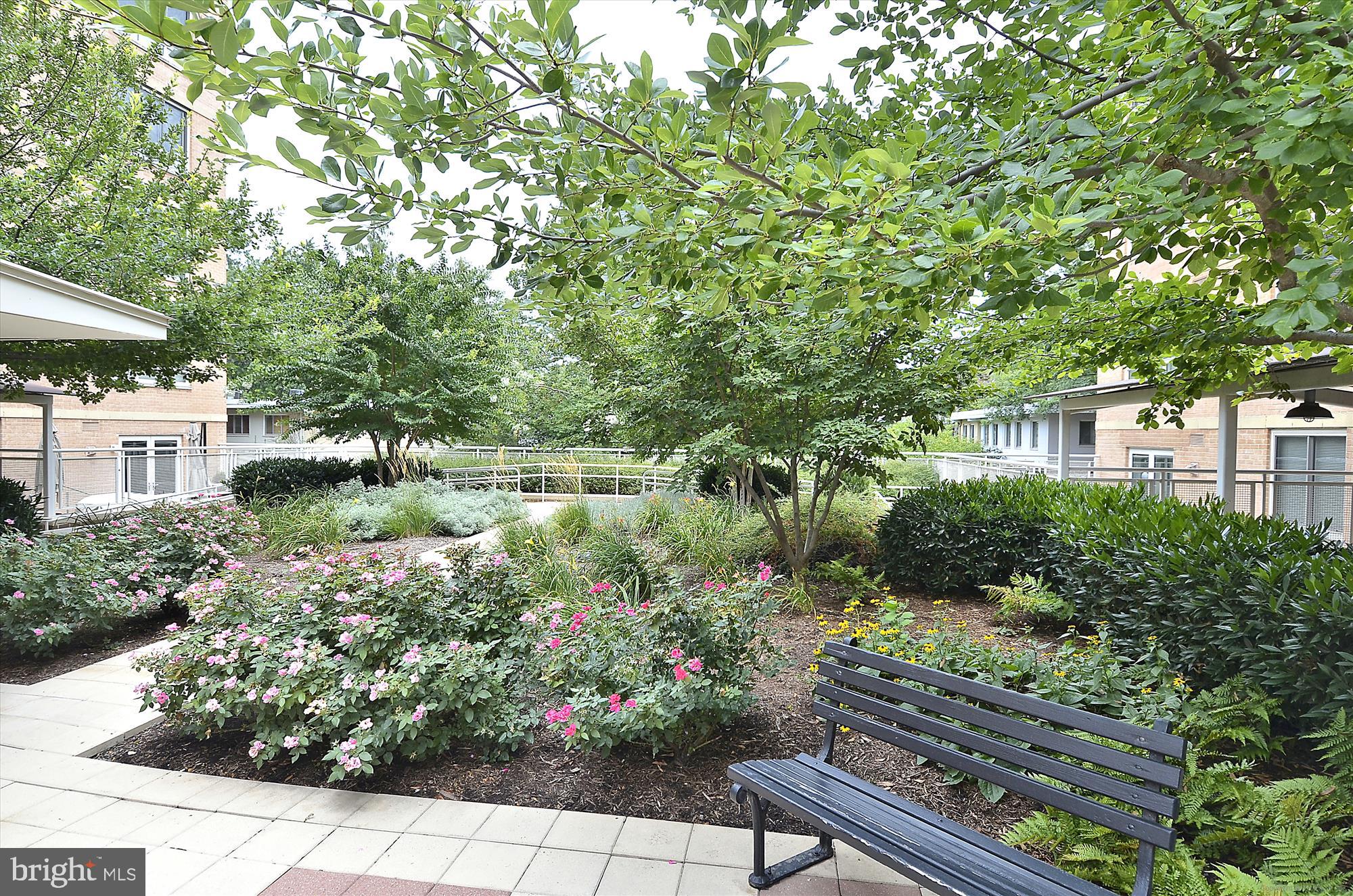 800 4th Street Southwest, Unit S113 Washington, DC 20024 - Photo 28 of 37 a view of a garden with plants and large trees