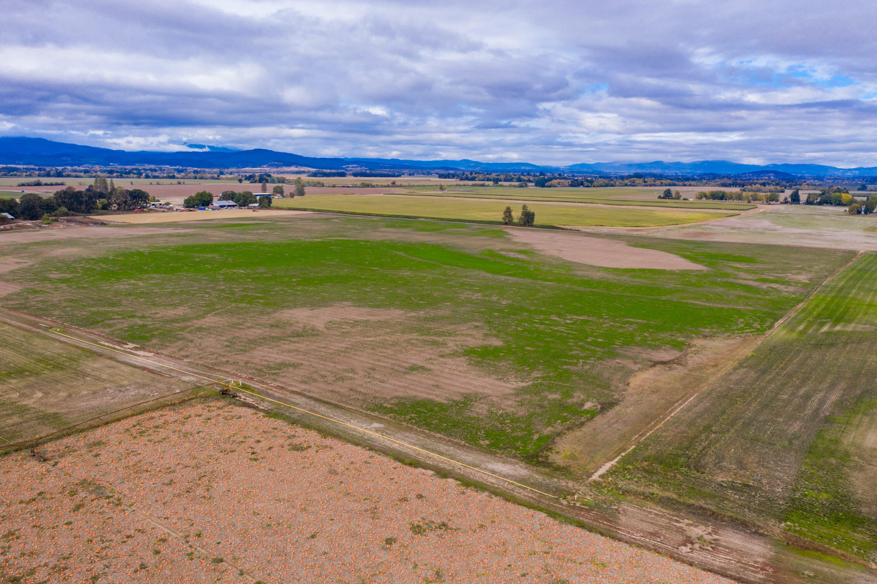 26527 Old River Road Monroe, OR 97456 - Photo 19 of 22 Export-0111