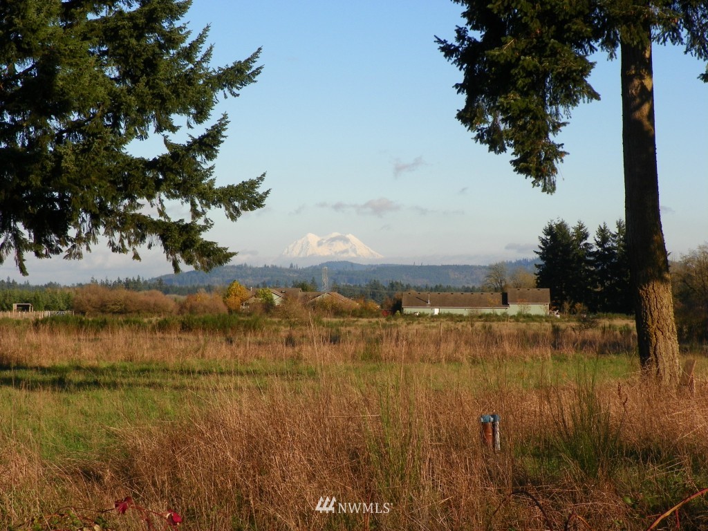 17008 Sheldon Lane Southwest Rochester, WA 98579 - Photo 2 of 25