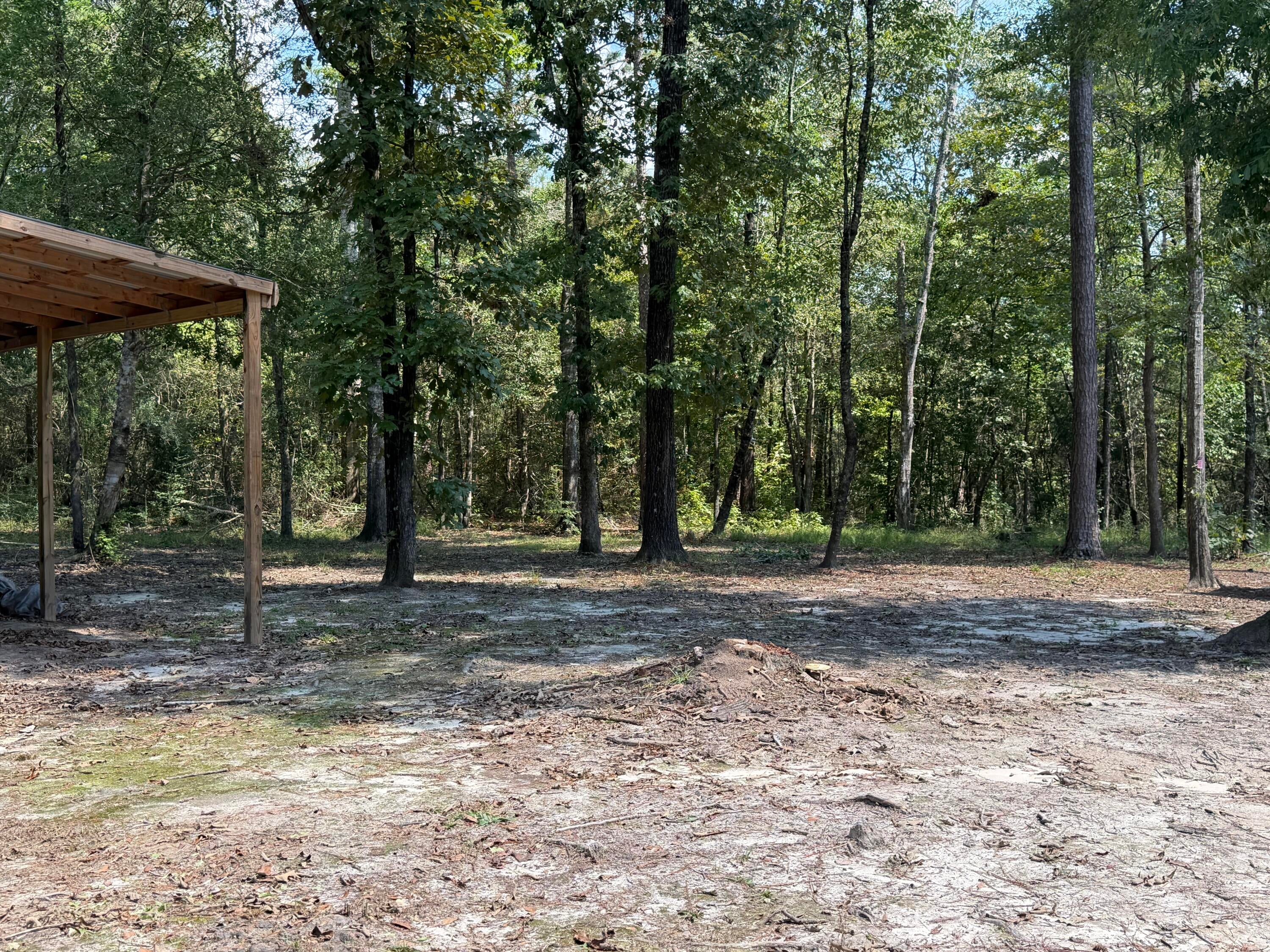 260 A J Bond Road Columbia, MS 39429 - Photo 25 of 29 Gallery Image 25