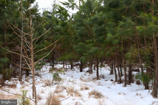 a view of outdoor space with chairs