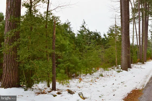 $744,900 | Jutland Road, St. Inigoes, MD 20684