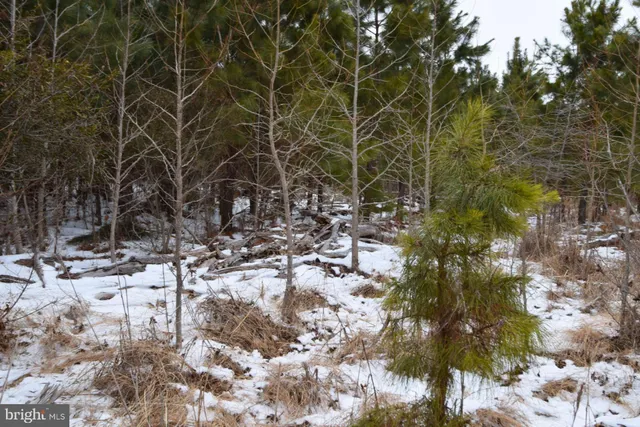 $744,900 | Jutland Road, St. Inigoes, MD 20684