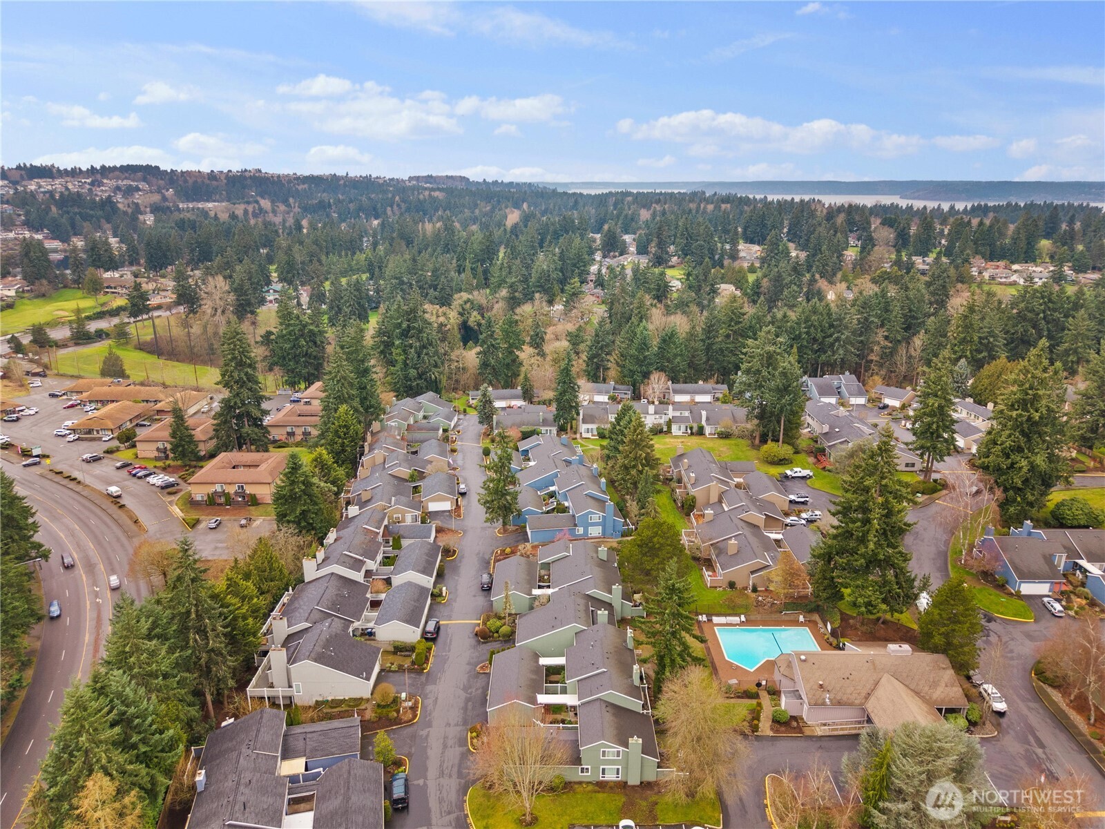 3114 Southwest 319th Place, Unit 45 Federal Way, WA 98023 - Photo 38 of 39 a view of a city with mountains in the background