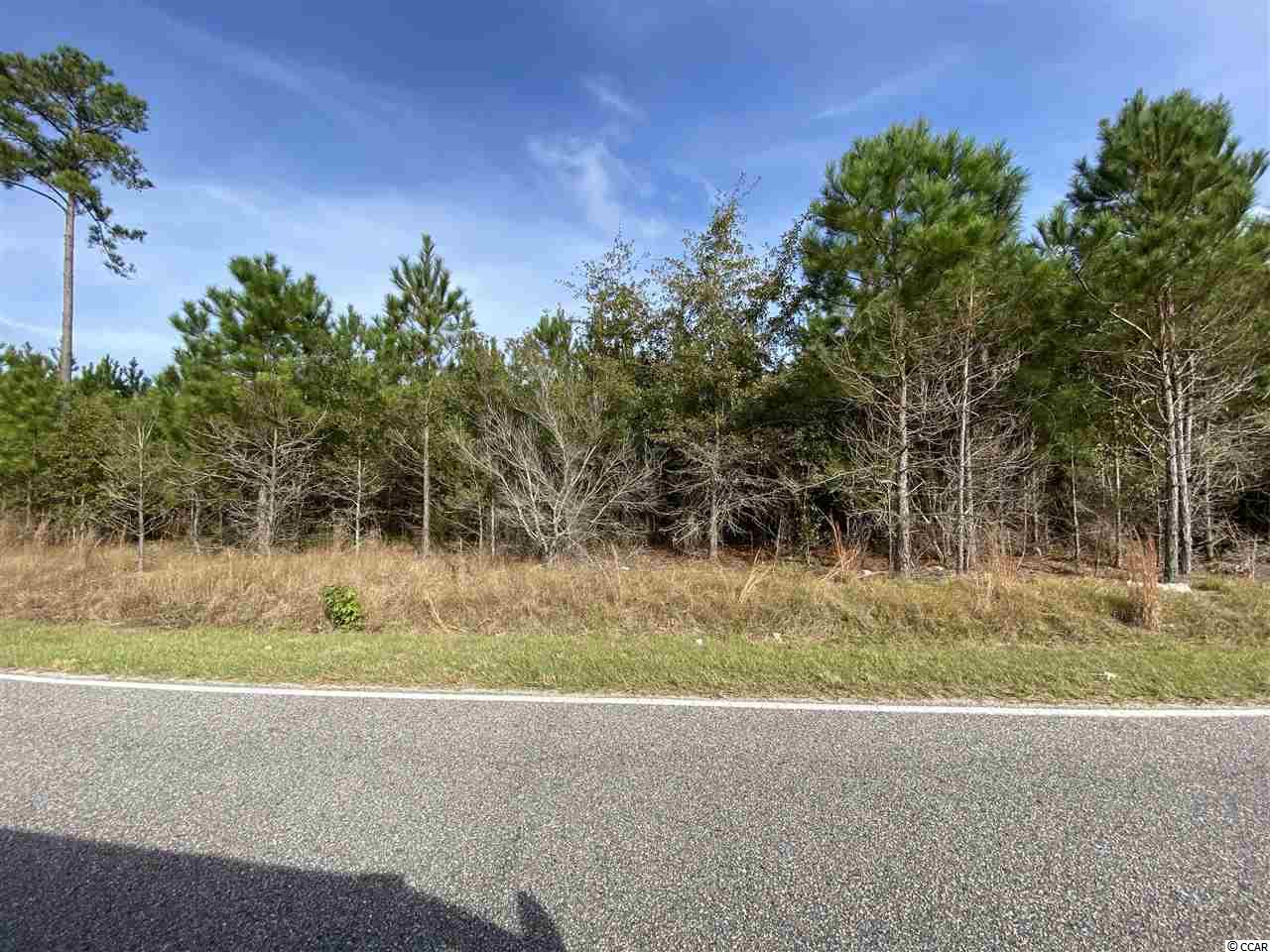 Acreage Valley Forge Road Aynor, SC 29511 - Photo 2 of 16 Gallery Image 2
