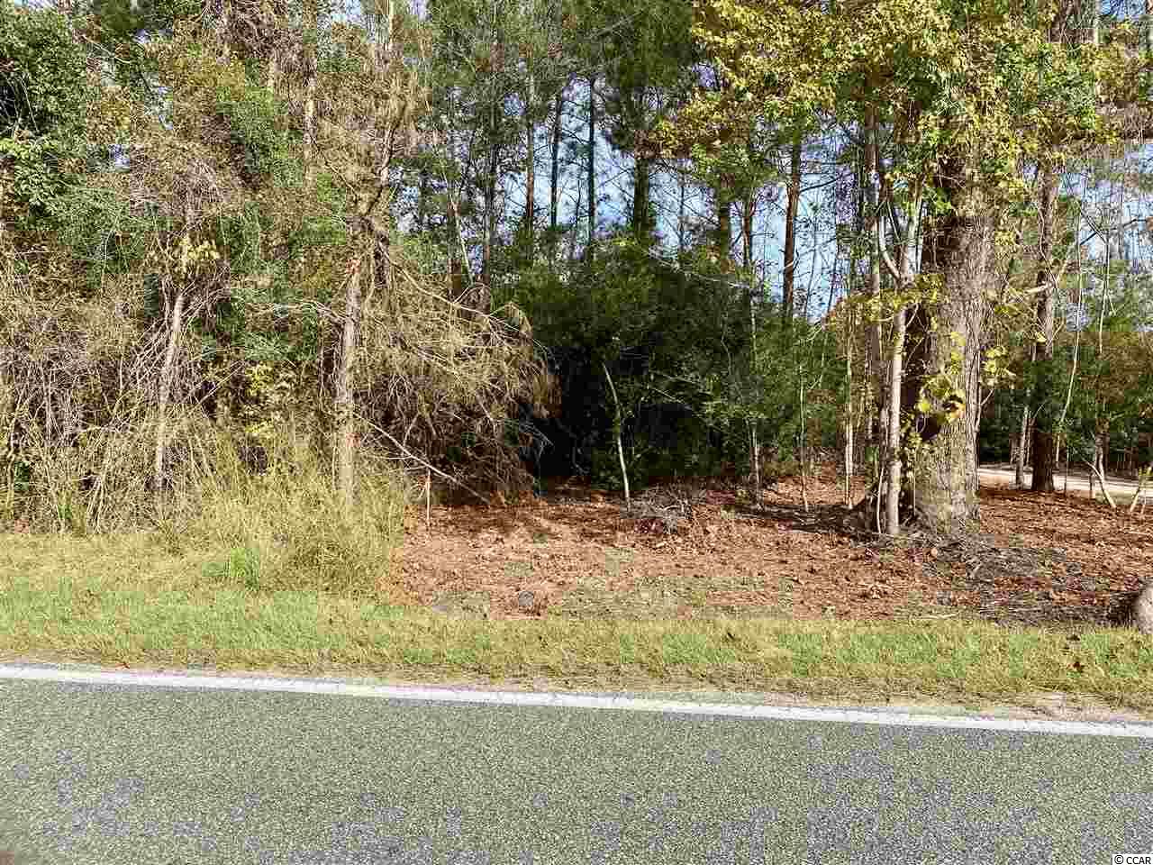 Acreage Valley Forge Road Aynor, SC 29511 - Photo 12 of 16 Gallery Image 12