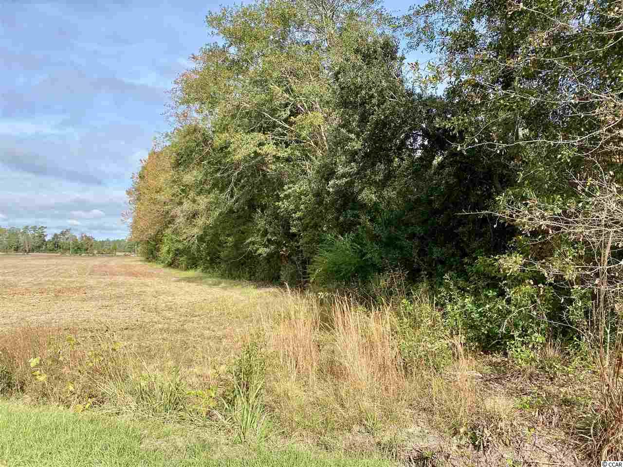 Acreage Valley Forge Road Aynor, SC 29511 - Photo 13 of 16 Gallery Image 13