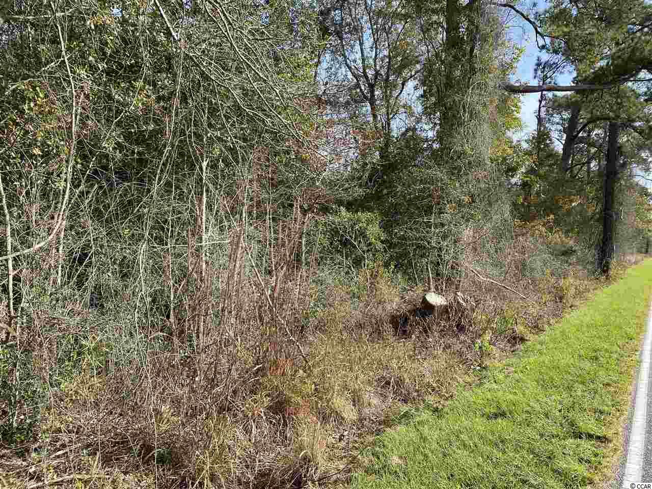 Acreage Valley Forge Road Aynor, SC 29511 - Photo 14 of 16 Gallery Image 14