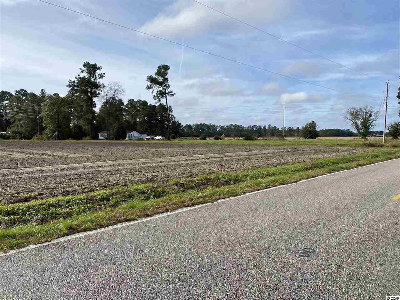 Acreage Valley Forge Road Aynor, SC 29511 - Photo 15 of 16 Gallery Image 15