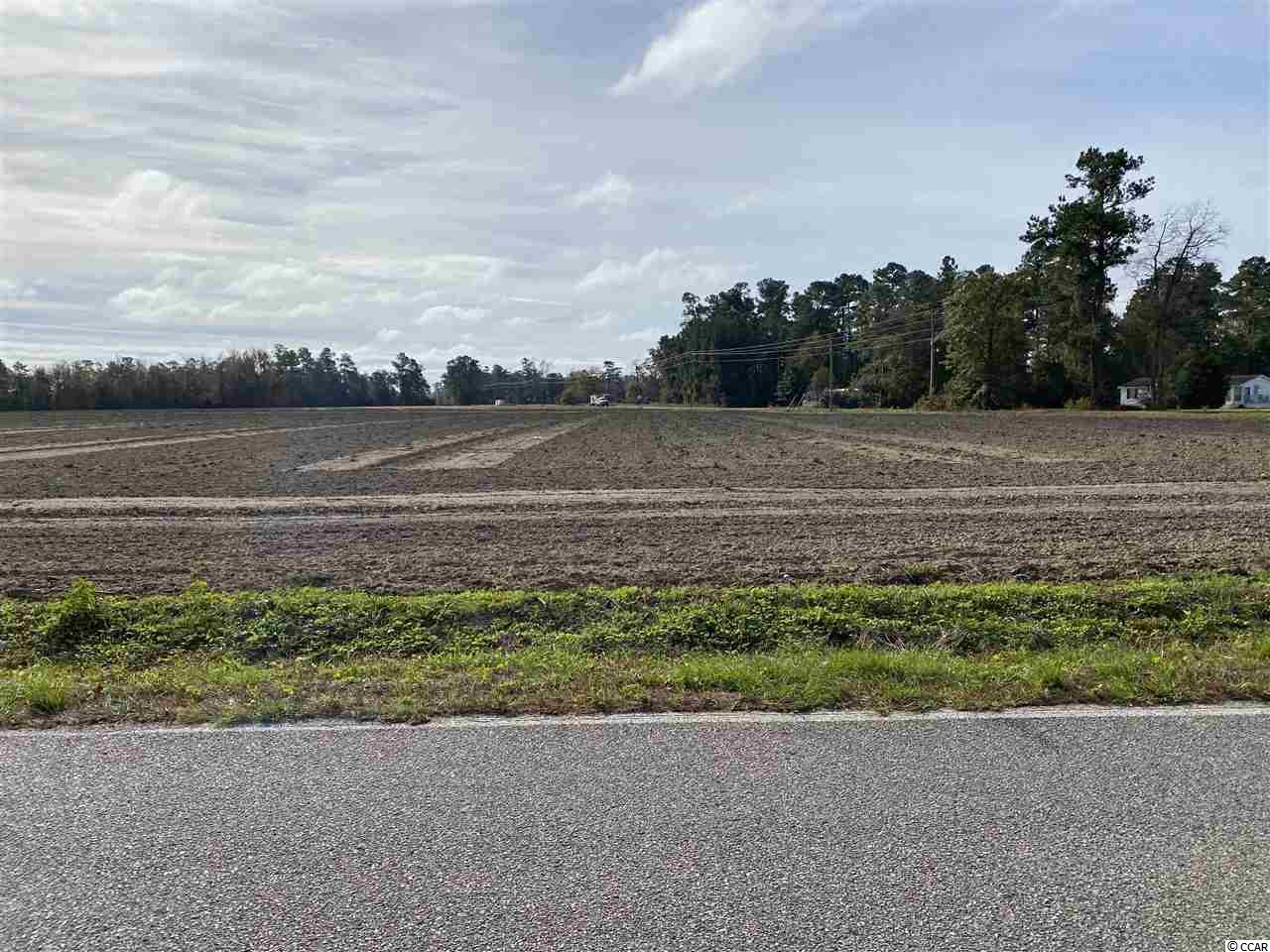Acreage Valley Forge Road Aynor, SC 29511 - Photo 16 of 16 Gallery Image 16