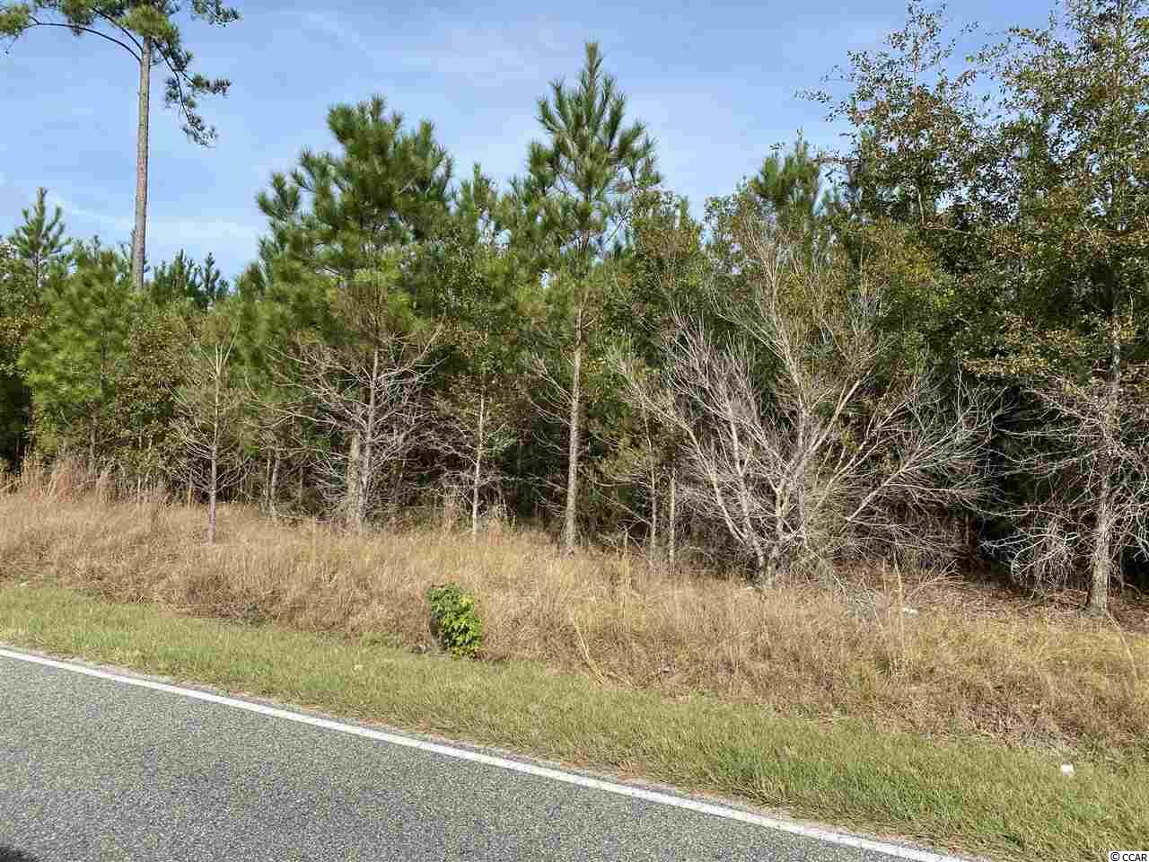 Acreage Valley Forge Road Aynor, SC 29511 - Photo 4 of 16 Gallery Image 4
