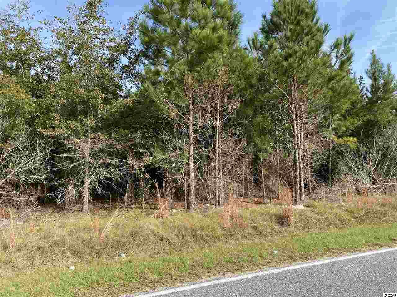Acreage Valley Forge Road Aynor, SC 29511 - Photo 5 of 16 Gallery Image 5