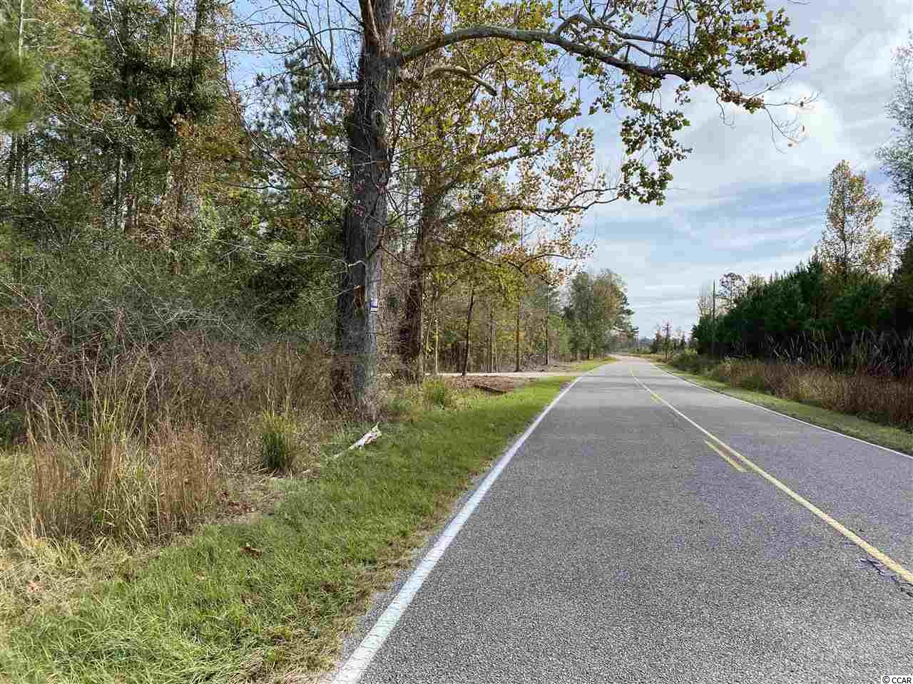 Acreage Valley Forge Road Aynor, SC 29511 - Photo 6 of 16 Gallery Image 6