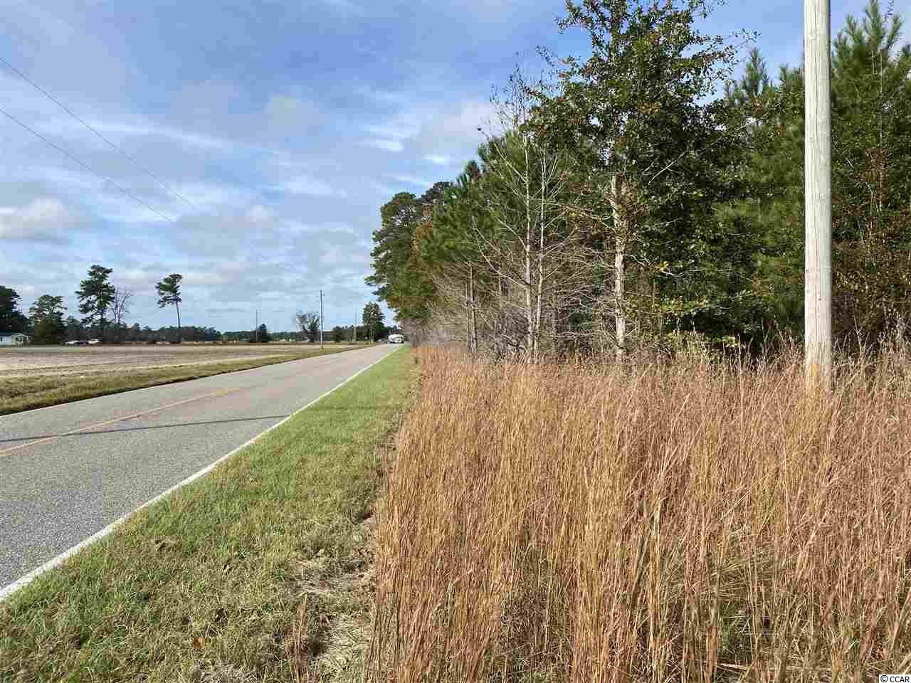Acreage Valley Forge Road Aynor, SC 29511 - Photo 10 of 16 Gallery Image 10