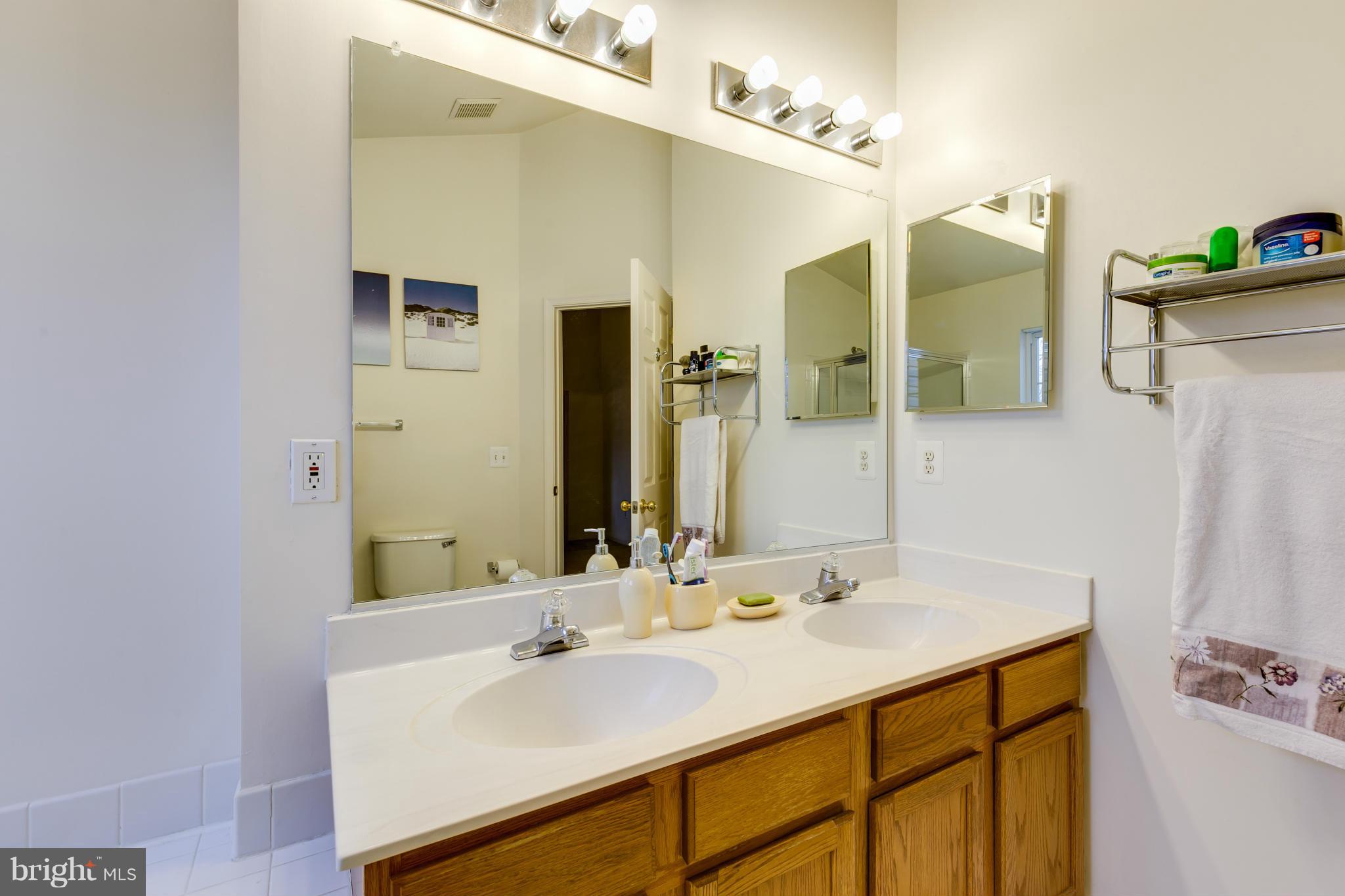 1267 Wild Hawthorn Way Reston, VA 20194 - Photo 20 of 26 Bath (Master)