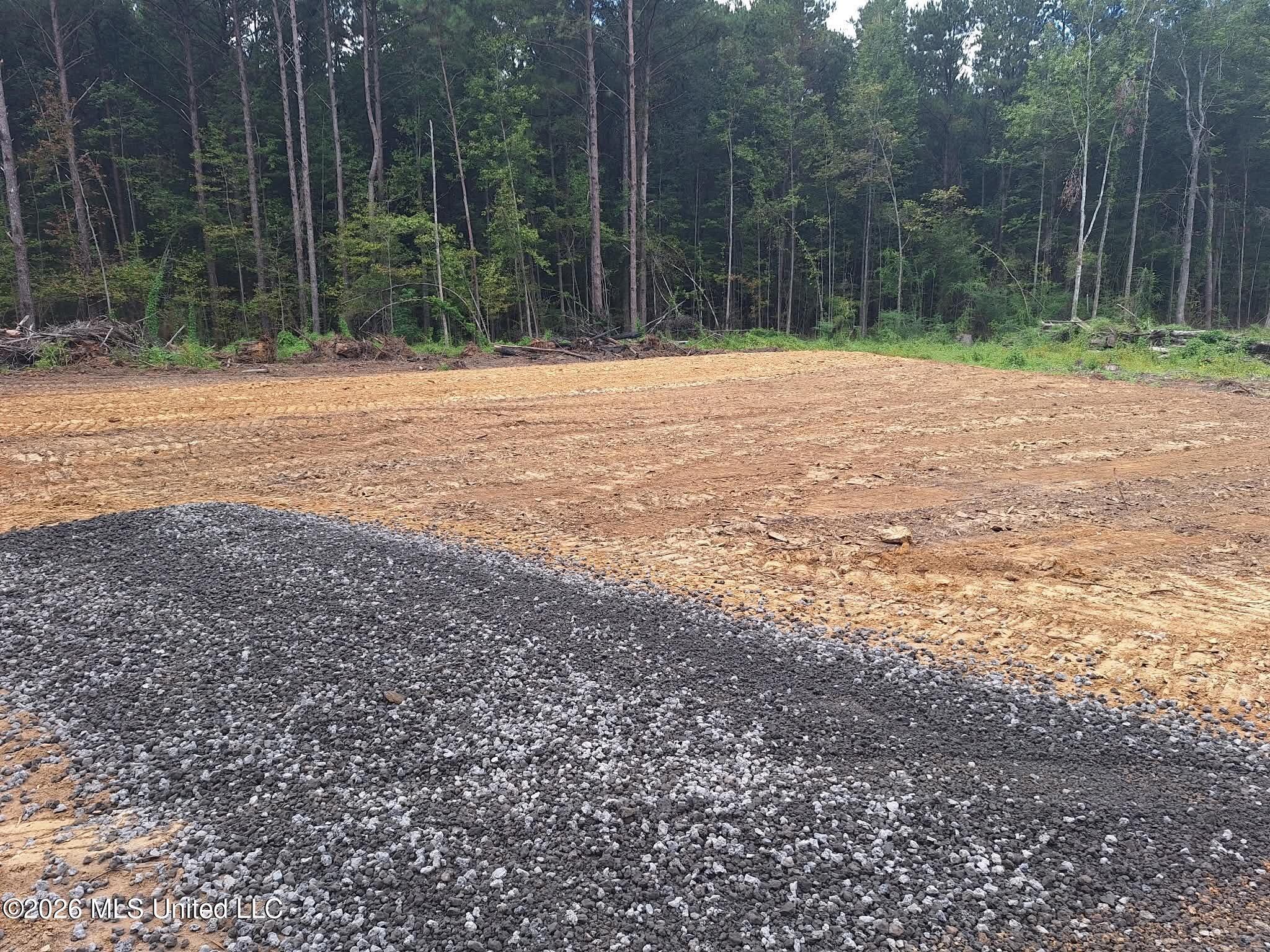 709 Old Pinola Braxton Road Braxton, MS 39044 - Photo 2 of 14 e9e2e5d7-b7e5-49ec-b801-db83f28613a0