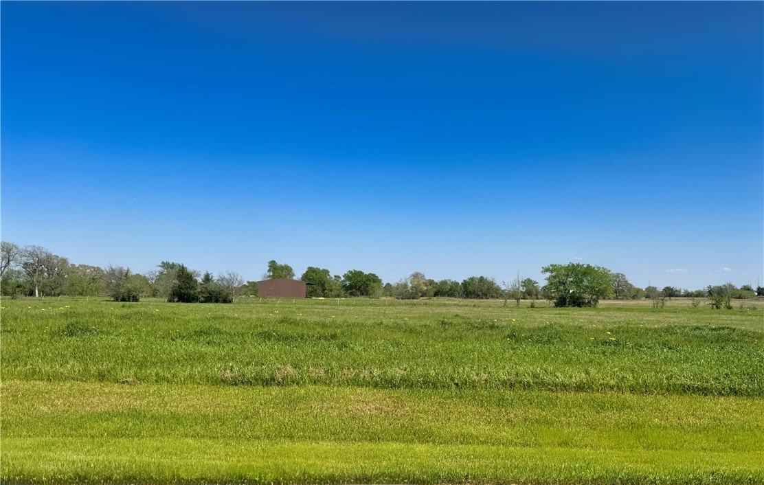 a view of a grassy field with trees