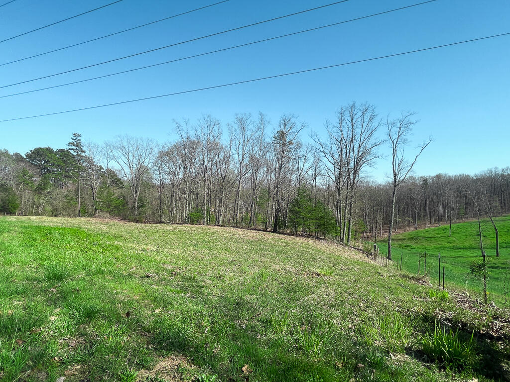2-acres Northwest Mowery Road Cleveland, TN 37312 - Photo 7 of 9 2 Acres_Mowery Rd NW-7