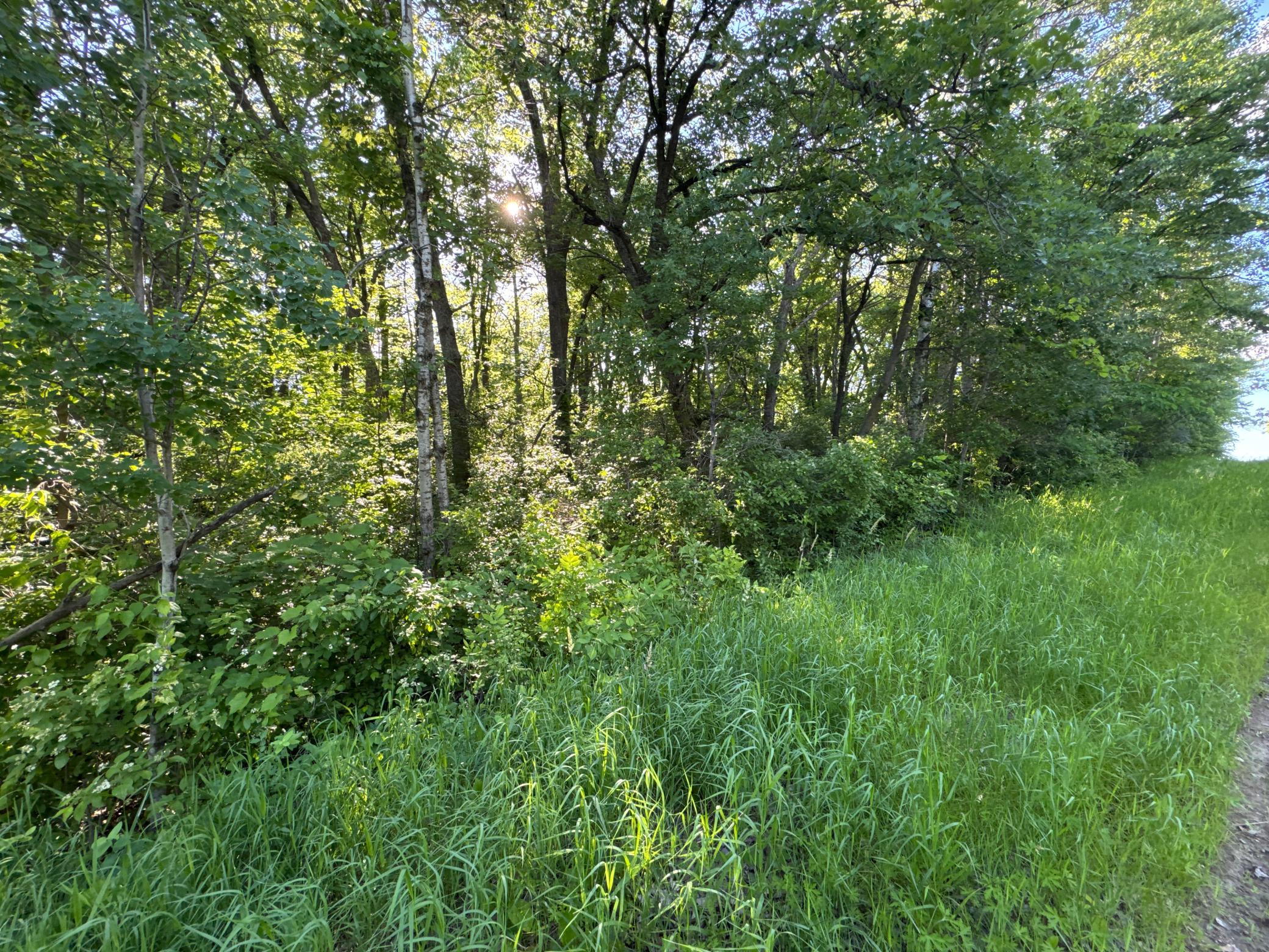 Xxxxx German Lake Road Underwood, MN 56586 - Photo 14 of 16