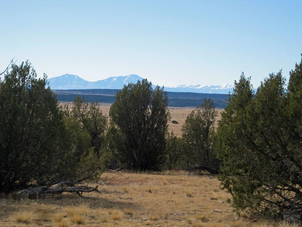 Lot 100 Narrow Gauge Way Rye, CO 81069 - Photo 27 of 42 Gallery Image 27