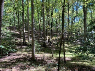 0 East Goldmine Road Ellijay, GA 30536 - Photo 4 of 11 a view of outdoor space and green space