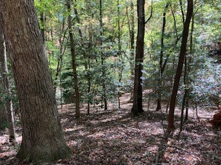 0 East Goldmine Road Ellijay, GA 30536 - Photo 7 of 11 a view of outdoor space
