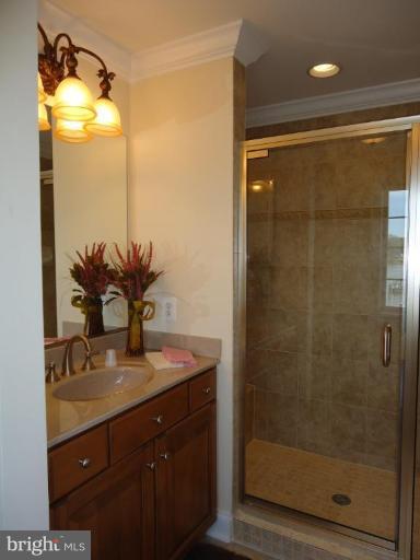 230 Bentons Pleasure Road Chester, MD 21619 - Photo 29 of 30 a bathroom with a shower sink and mirror