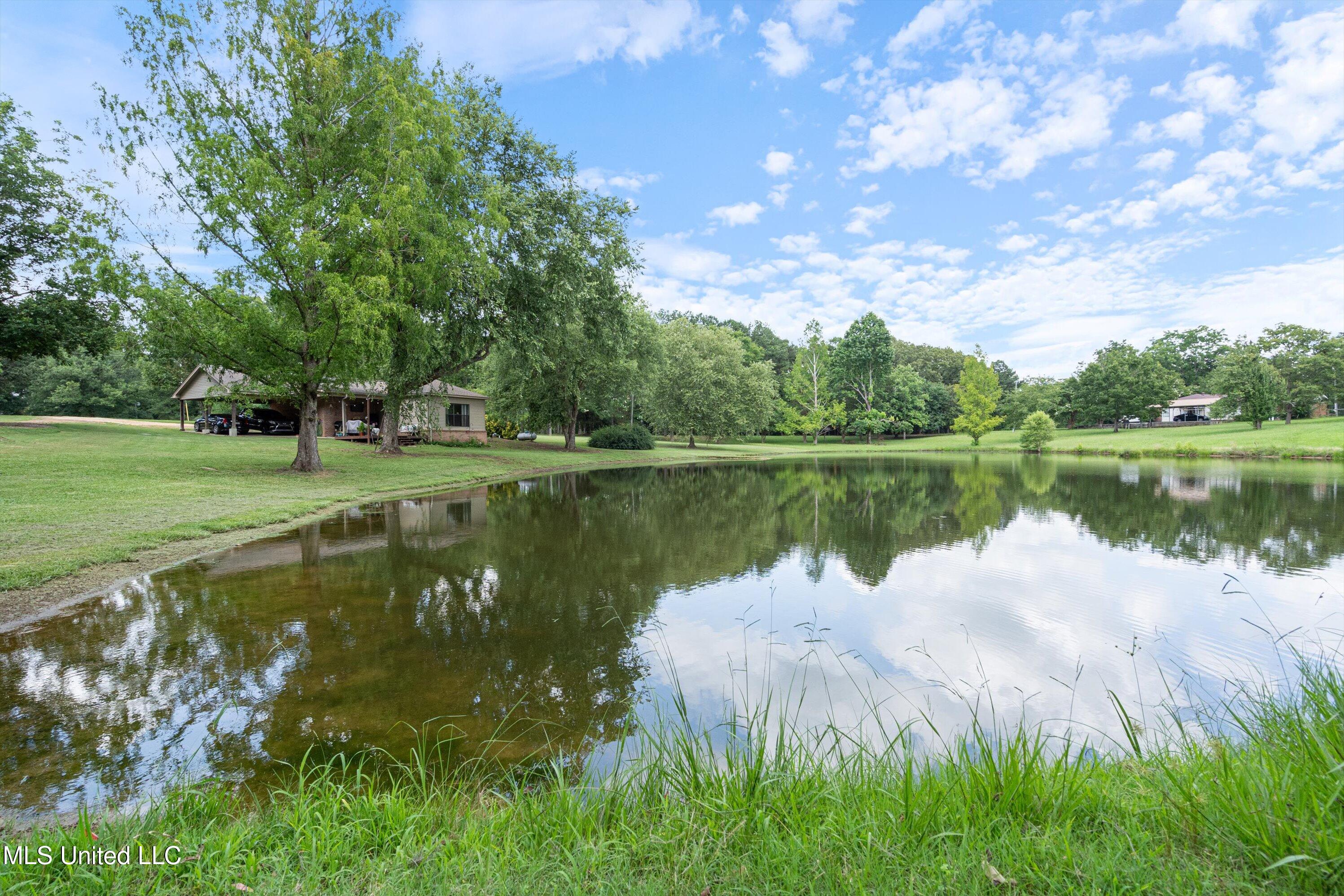 1274 Baker Road Courtland, MS 38620 - Photo 21 of 23 21-DSC8736