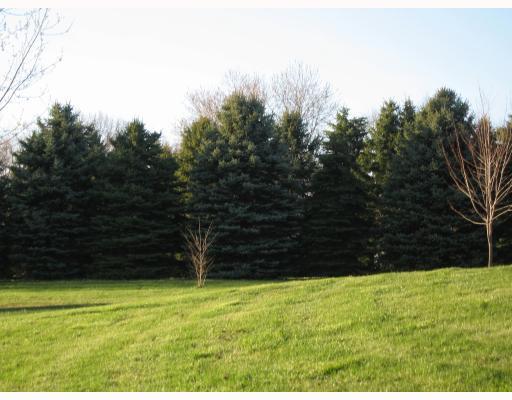 143 Swain Hill Road Harmony, PA 16037 - Photo 3 of 8 Yard/Garden.