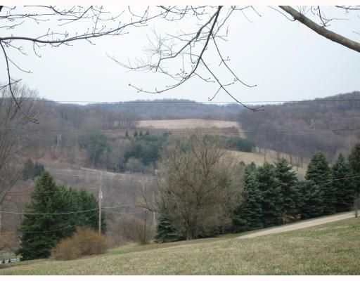 143 Swain Hill Road Harmony, PA 16037 - Photo 6 of 8 View. View from side yard......