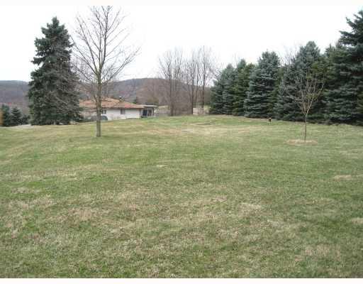 143 Swain Hill Road Harmony, PA 16037 - Photo 7 of 8 Yard/Garden. Backyard......