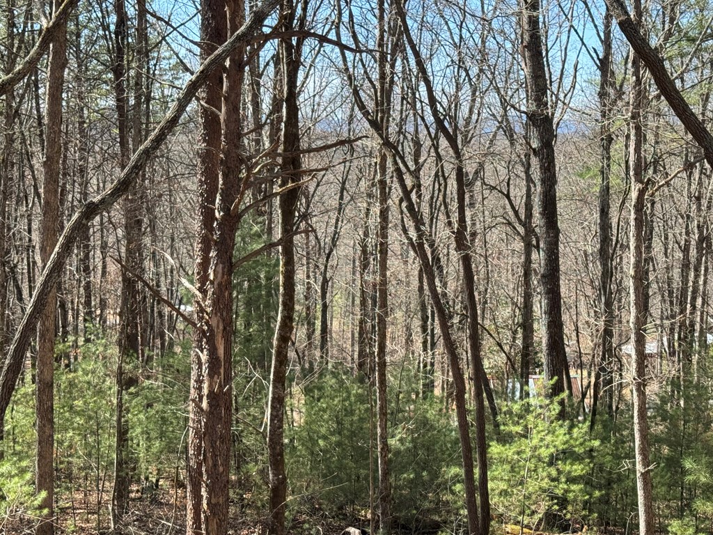 356 Ridgeview Road Morganton, GA 30560 - Photo 17 of 30 Gallery Image 17