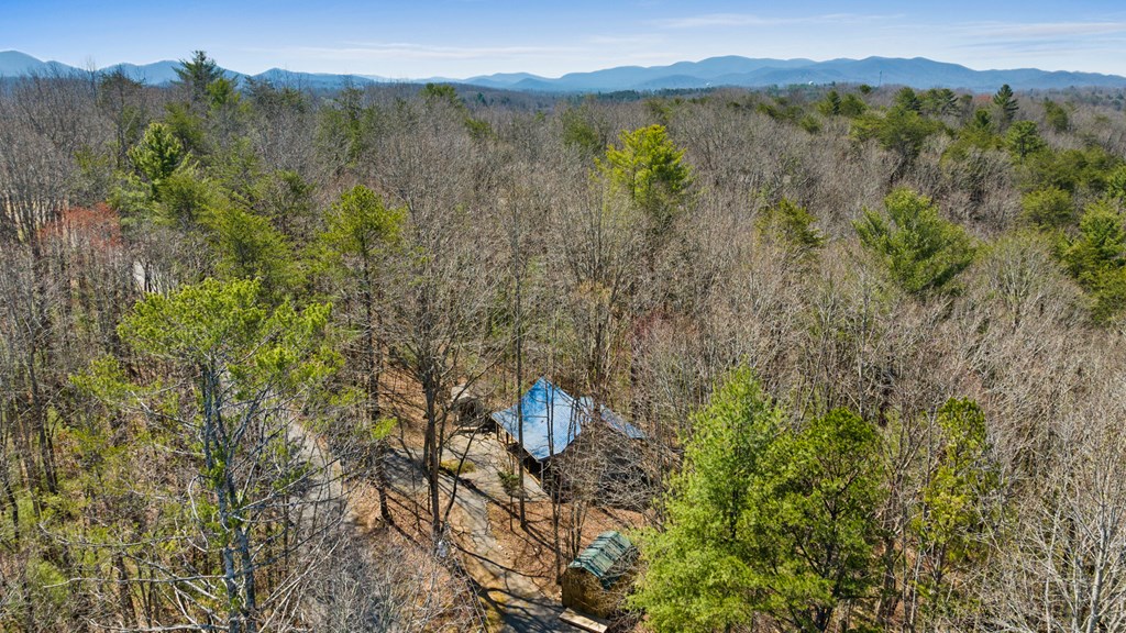 356 Ridgeview Road Morganton, GA 30560 - Photo 24 of 30 Gallery Image 24