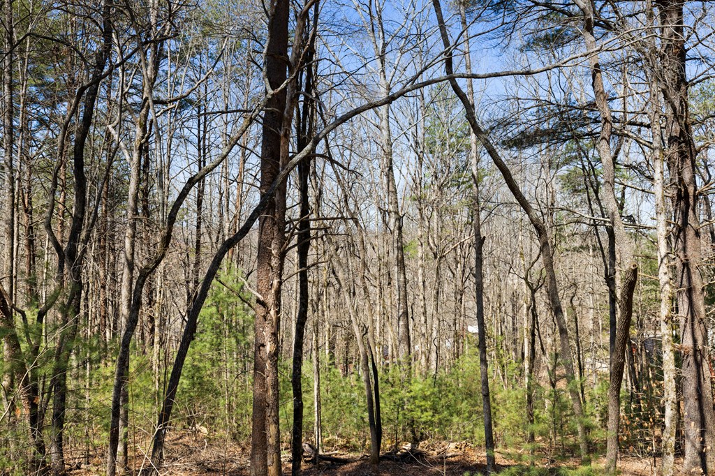 356 Ridgeview Road Morganton, GA 30560 - Photo 25 of 30 Gallery Image 25