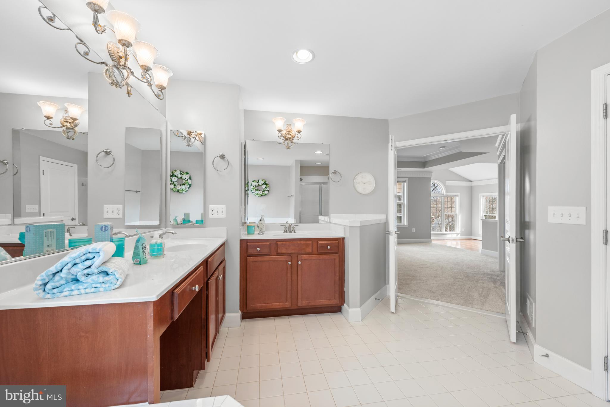 403 Madison Street Herndon, VA 20170 - Photo 40 of 63 a large bathroom with a granite countertop sink a large mirror and a shower