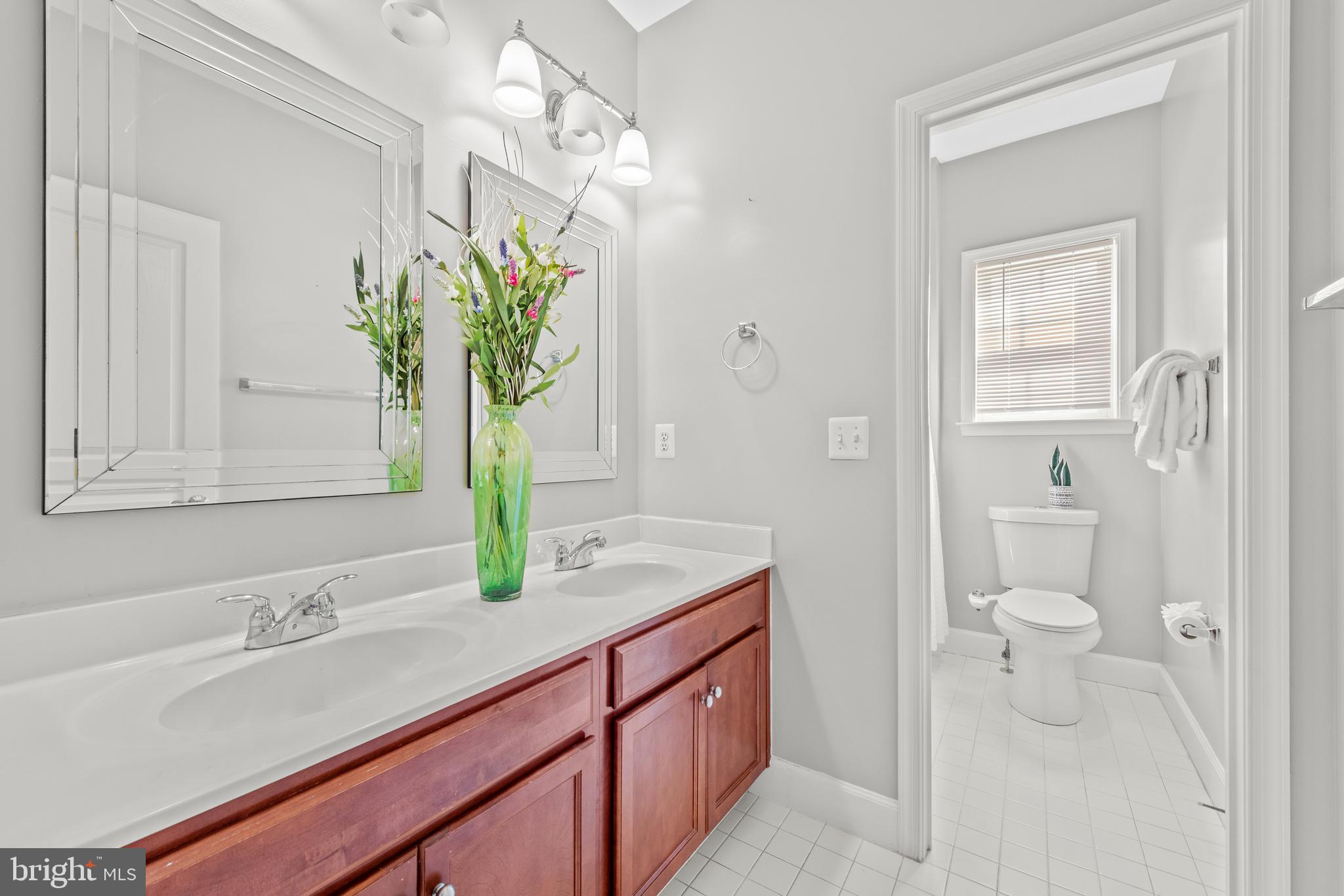 403 Madison Street Herndon, VA 20170 - Photo 45 of 63 a bathroom with a sink a toilet and a mirror