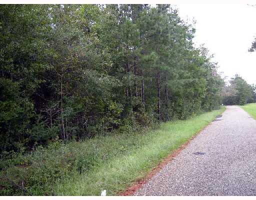 0 Flanigan Road Kokomo, MS 39643 - Photo 1 of 3