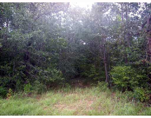 0 Flanigan Road Kokomo, MS 39643 - Photo 2 of 3