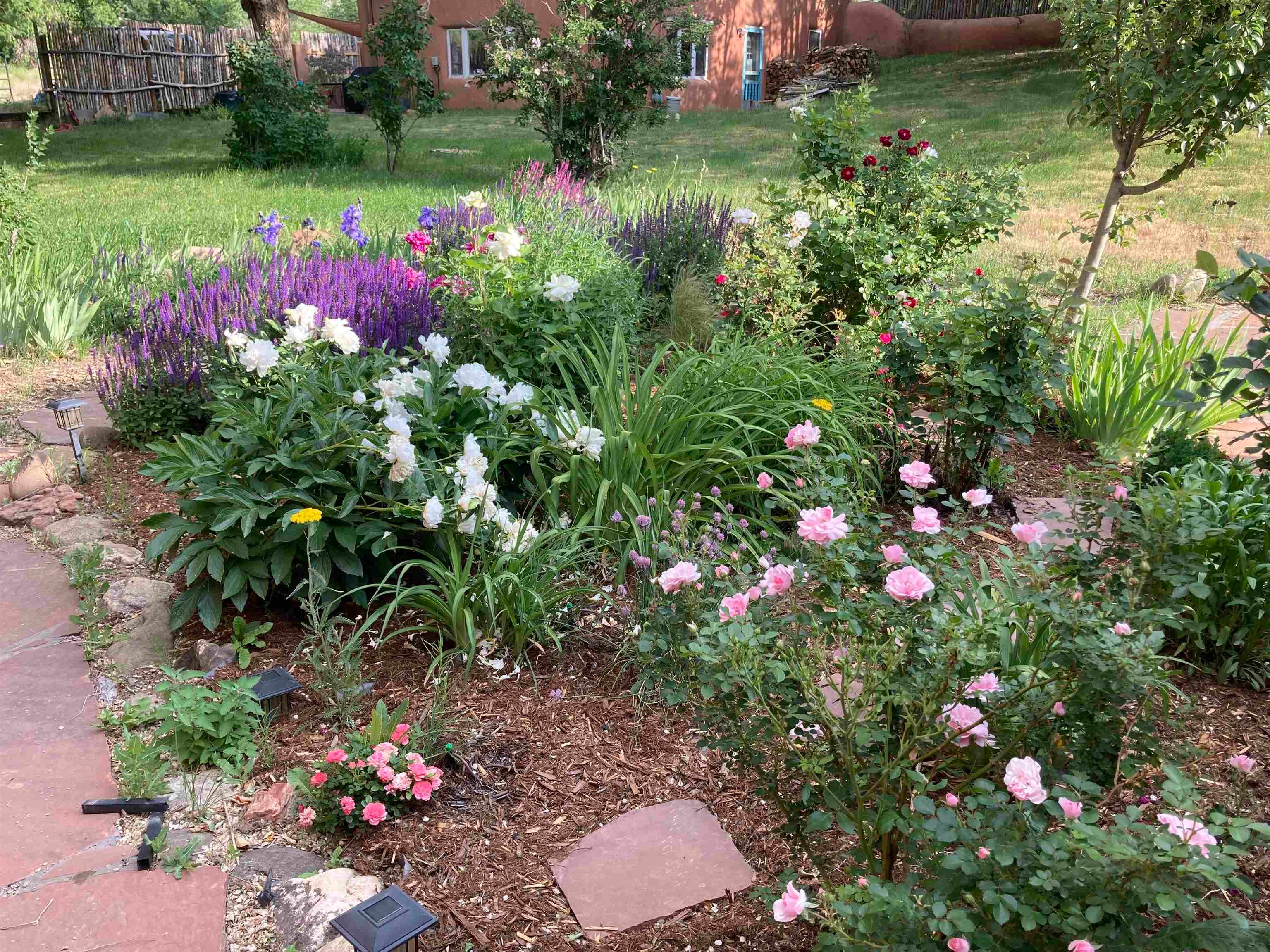 1099 Witt Road Taos, NM 87571 - Photo 26 of 27 Gallery Image 26