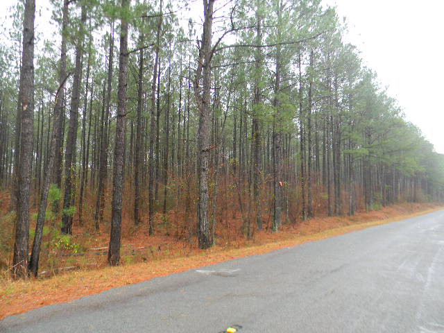 0 Cold Modoc, SC 29838 - Photo 1 of 1 Main View
