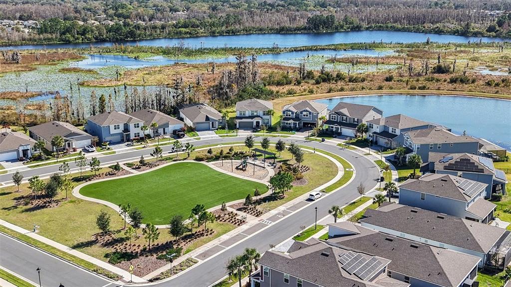 2326 Village Amble Loop Lutz, FL 33558 - Photo 43 of 53