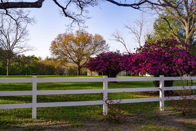 2199 Curtis Madden Road Baker, FL 32531 - Photo 1 of 63 a green field with lots of trees in the background