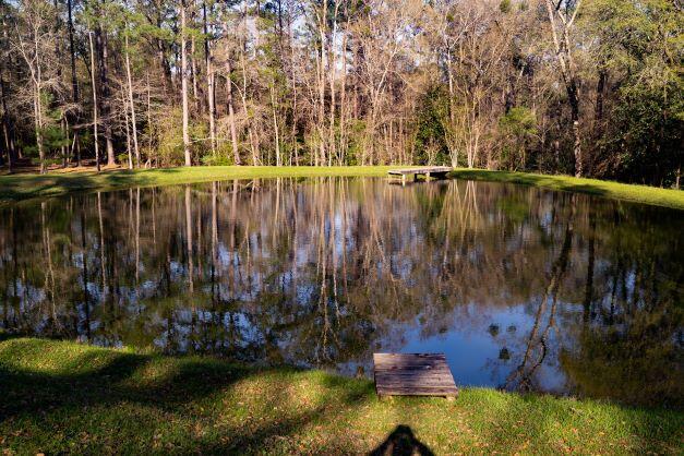 2199 Curtis Madden Road Baker, FL 32531 - Photo 11 of 63 a view of swimming pool with a yard and trees