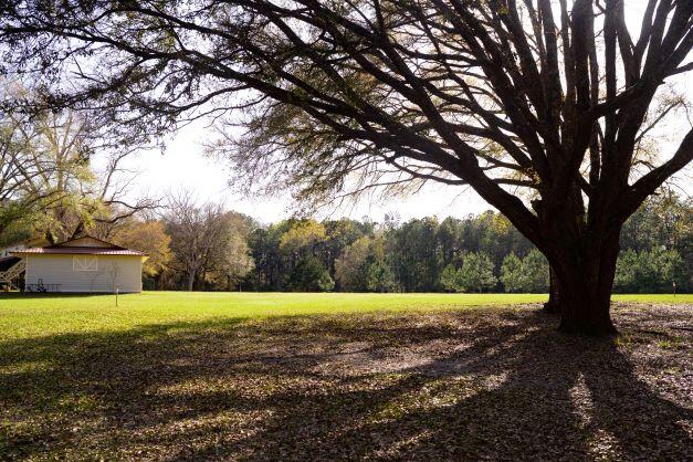 2199 Curtis Madden Road Baker, FL 32531 - Photo 19 of 63 a view of a yard with a large trees
