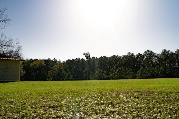2199 Curtis Madden Road Baker, FL 32531 - Photo 20 of 63 a view of a yard
